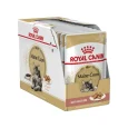 buy-royal-canin-maine-coon-adult-wet-box-online_1400x