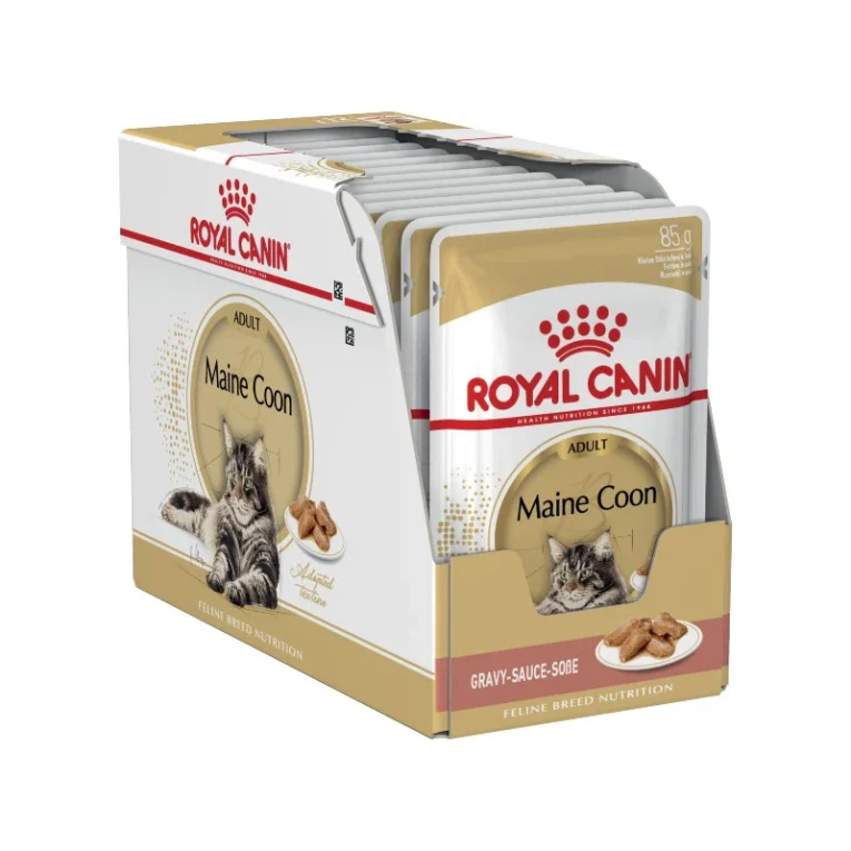 buy-royal-canin-maine-coon-adult-wet-box-online_1400x