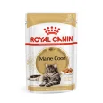 buy-royal-canin-maine-coon-adult-wet-online_1400x