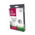 Grow-Cat-Grass